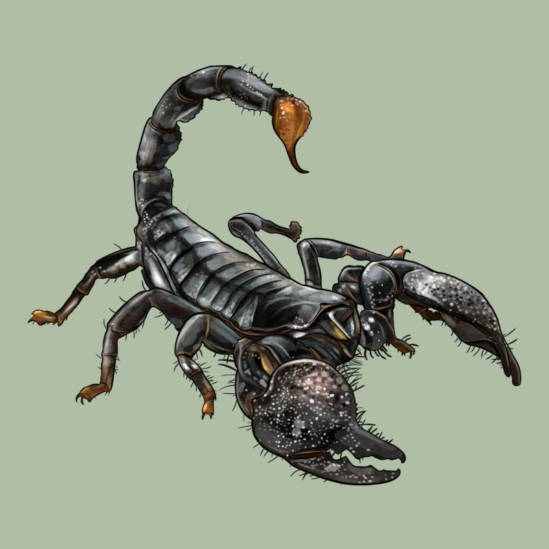 Scorpion Urban Heavy Tee by LillyAllenDesigns | Teevron