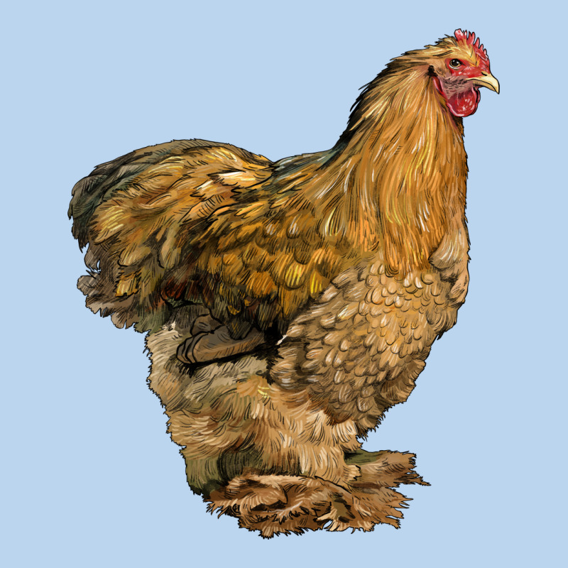 Cochin Chicken Classic Tee by LillyAllenDesigns | Teevron