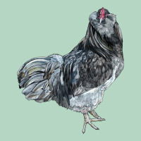 Ameraucana Rooster Classic Tee | Teevron
