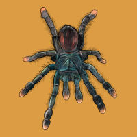 Pink Toe Tarantula Urban Heavy Tee | Teevron
