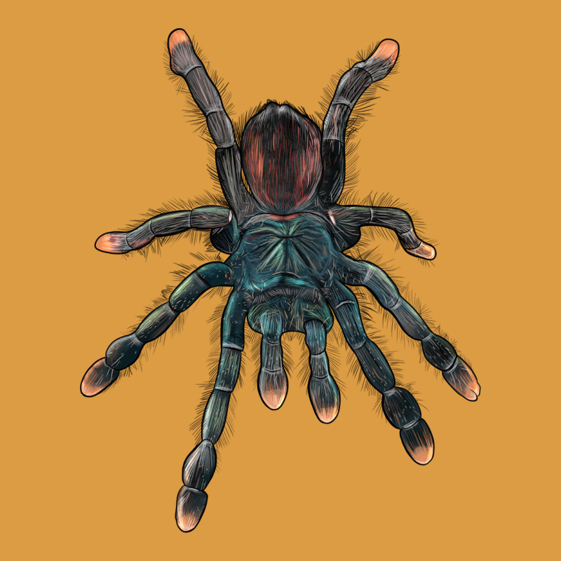 Pink Toe Tarantula Urban Heavy Tee by LillyAllenDesigns | Teevron