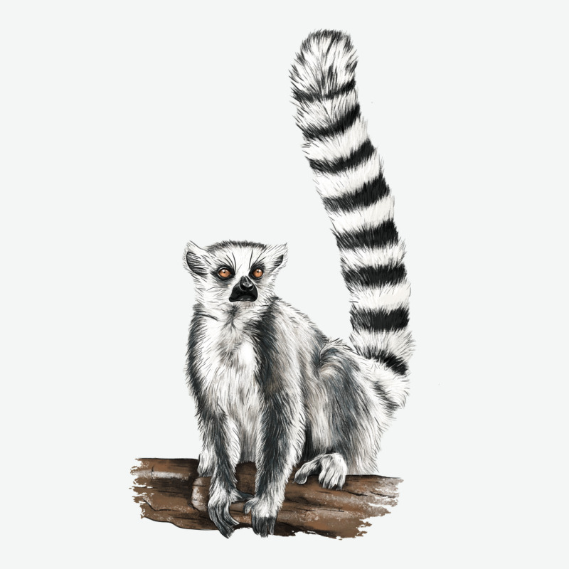 Ringtail Cat Urban Heavy Tee by LillyAllenDesigns | Teevron