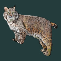 Bobcat Classic Tee | Teevron