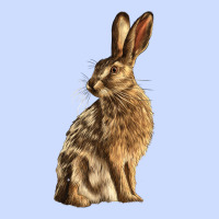 Hares Urban Heavy Tee | Teevron
