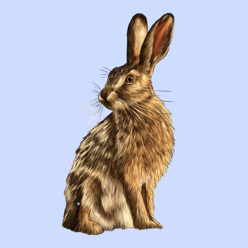 Hares Urban Heavy Tee by LillyAllenDesigns | Teevron