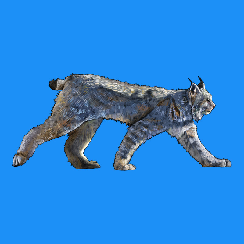 Canada Lynx Classic Tee by LillyAllenDesigns | Teevron