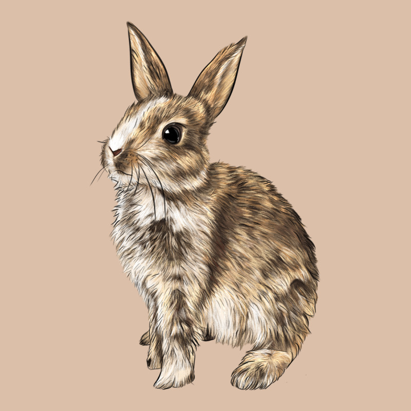 Rabbit Urban Heavy Tee by LillyAllenDesigns | Teevron