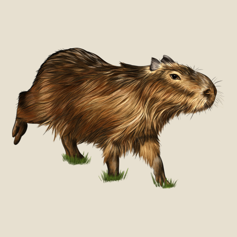 Capybara Urban Heavy Tee by LillyAllenDesigns | Teevron