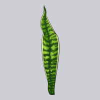 Snake Plant Heavyweight Sweatshirt | Teevron