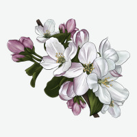 Apple Blossom Urban Heavy Tee | Teevron