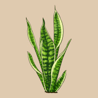 Snake Plant Heavyweight Sweatshirt | Teevron