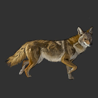 Coyote Urban Heavy Tee | Teevron