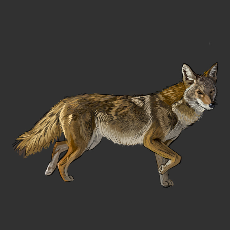 Coyote Urban Heavy Tee by LillyAllenDesigns | Teevron