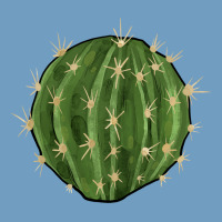 Cactus Urban Heavy Tee | Teevron