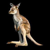 Baby Kangaroo Urban Heavy Tee | Teevron