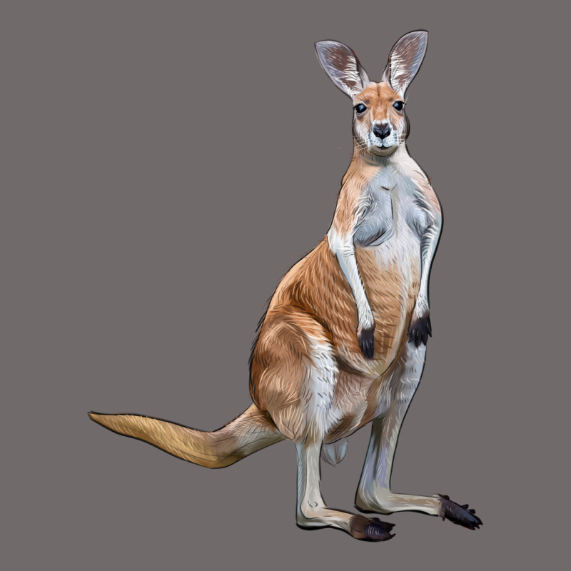 Kangaroo Urban Heavy Tee by LillyAllenDesigns | Teevron