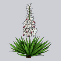 Yucca Flower Iiiustrations Heavyweight Sweatshirt | Teevron