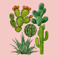 Watercolor Cactus Bundle Preview Urban Heavy Tee | Teevron