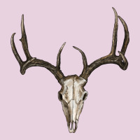Deer Skull Ladies Tee | Teevron