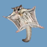 Sugar Glider Urban Heavy Tee | Teevron