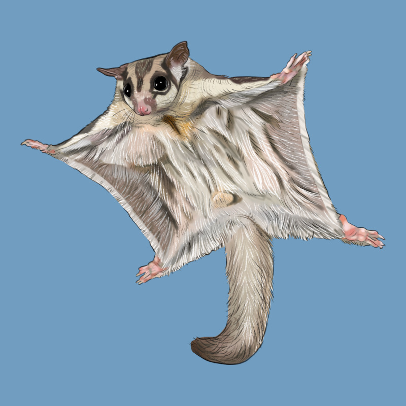 Sugar Glider Urban Heavy Tee by LillyAllenDesigns | Teevron