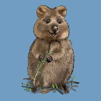 Quokka Urban Heavy Tee | Teevron