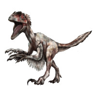 Deinonychus | Teevron