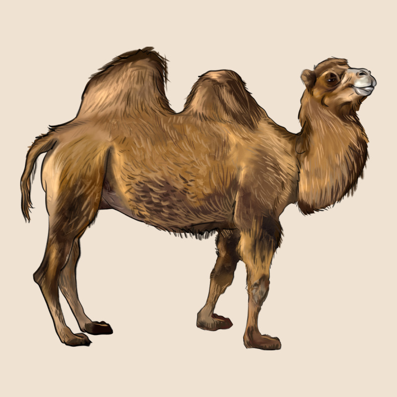 Camel Urban Heavy Tee by LillyAllenDesigns | Teevron