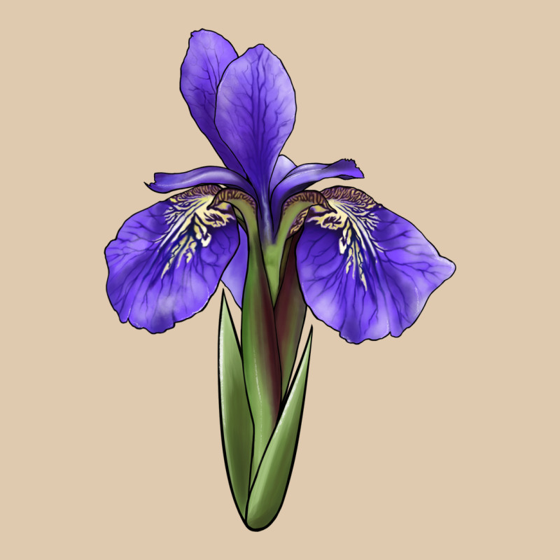 Iris Flower Illustrations Heavyweight Sweatshirt by LillyAllenDesigns | Teevron