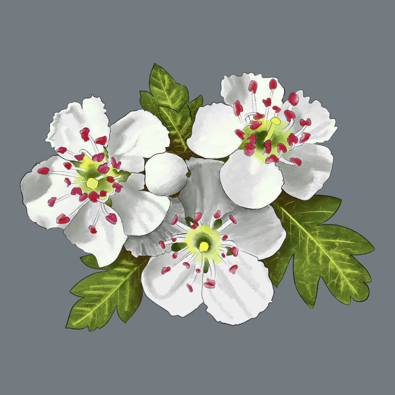 Hawthorn Flower Illustrations Heavyweight Sweatshirt by LillyAllenDesigns | Teevron