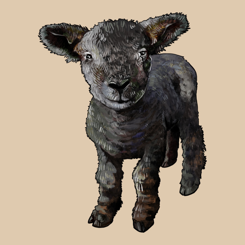 Southdown Baby Sheep Heavyweight Sweatshirt by LillyAllenDesigns | Teevron