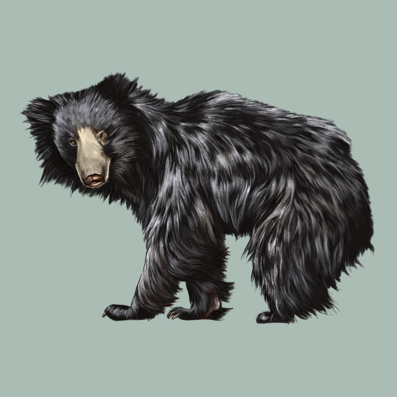 Sloth Bear Classic Tee by LillyAllenDesigns | Teevron