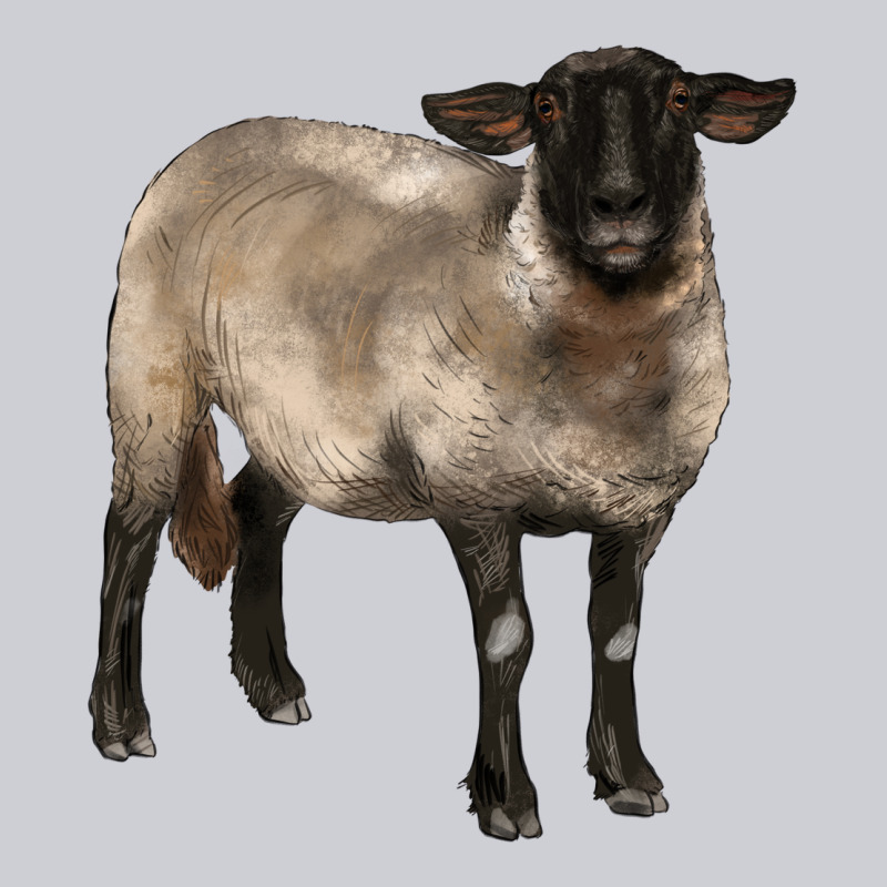Suffolk Ewe Heavyweight Sweatshirt by BarkalooDesign | Teevron