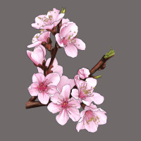 Peach Blossom Urban Heavy Tee | Teevron