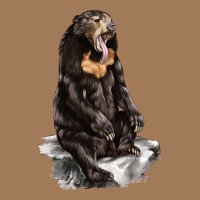 Malayan Sun Bear Classic Tee | Teevron