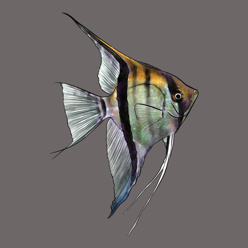 Angelfish Classic Tee by LillyAllenDesigns | Teevron
