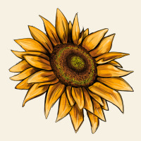 Sunflower Vintage Tee | Teevron
