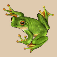 White Lipped Tree Frog Illustrations Heavyweight Sweatshirt | Teevron