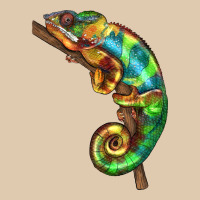 Chameleon Lizard Illustrations Heavyweight Sweatshirt | Teevron