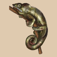 Green Chameleon Lizard Illustrations Heavyweight Sweatshirt | Teevron