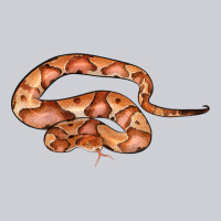 Copperhead Snake Illustrations Heavyweight Sweatshirt | Teevron