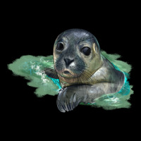 Sea Seal Face Illustrations Heavyweight Sweatshirt | Teevron