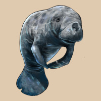 Manatee Illustrations Heavyweight Sweatshirt | Teevron
