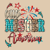 Little Mister America Heavyweight Sweatshirt | Teevron