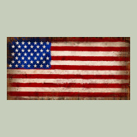 American Flag Long Sleeve Tee | Teevron