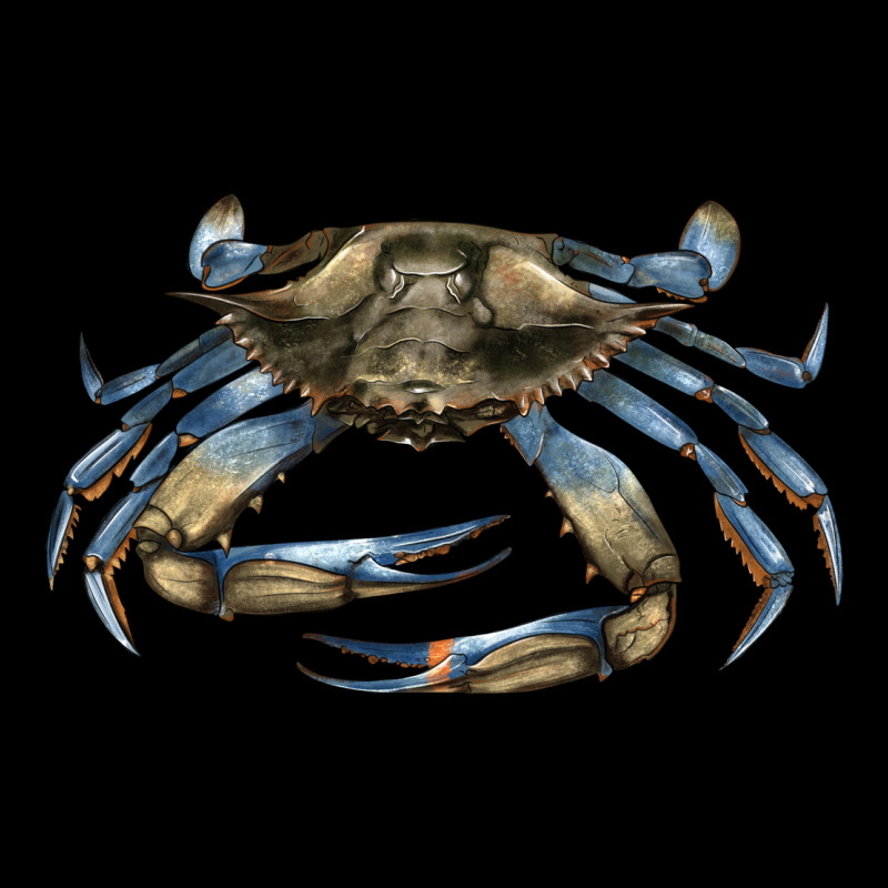 Crab Heavyweight Sweatshirt by LillyAllenDesigns | Teevron