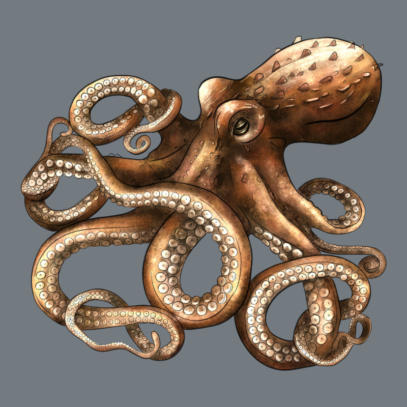 Octopus Heavyweight Sweatshirt by LillyAllenDesigns | Teevron