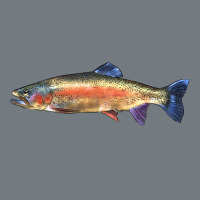 Rainbow Trout Heavyweight Sweatshirt | Teevron
