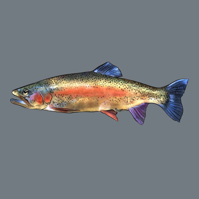 Rainbow Trout Heavyweight Sweatshirt by LillyAllenDesigns | Teevron