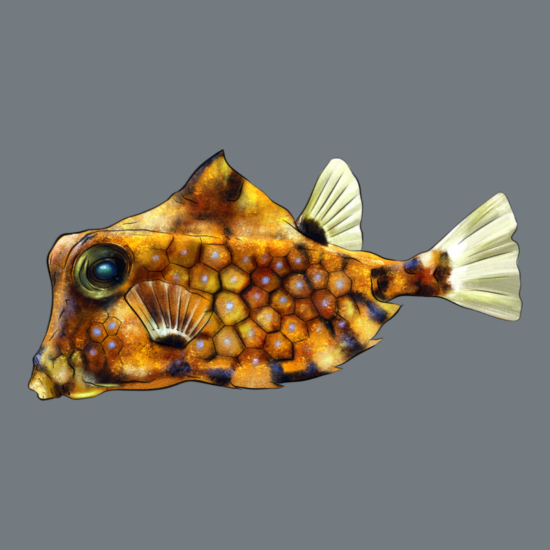 Humpback Turretfish Heavyweight Sweatshirt by LillyAllenDesigns | Teevron